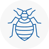 Bed Bug Extermination In Grays