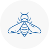 Bee Nest Removal Grays
