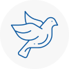 Bird Prevention Grays