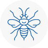 Grays Hornet Nest Removals