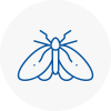 Moth Control Specialists In Grays