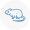 Rat Control Grays