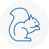 Grays Rodent Removals