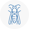 Grays Wasp Nest Removal